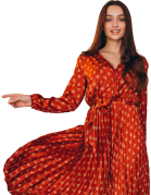 Traditional Ethnic Dress